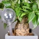 thumbnail image 4 of Riego por goteo con forma de bola transparente de PVC para plantas color blanco 2 uds FLhrweasw, 4 of 4