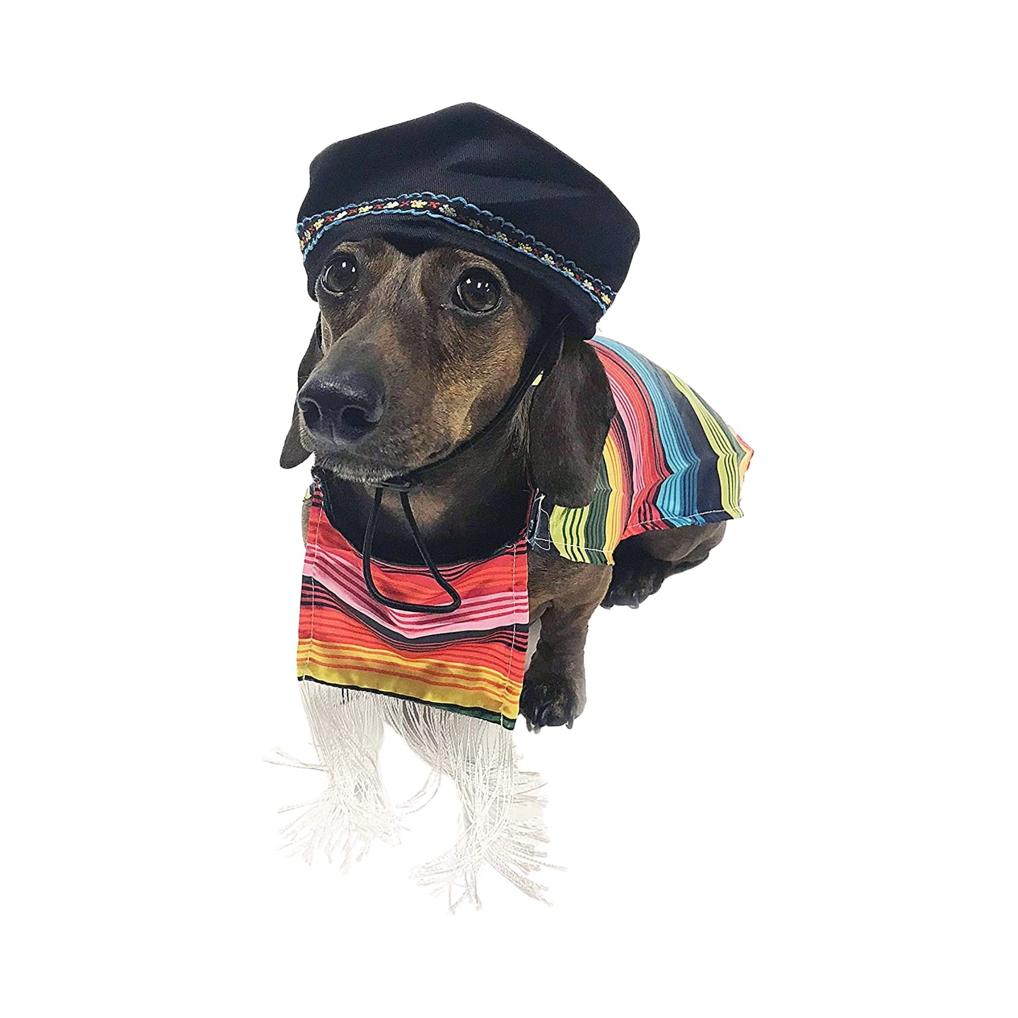 Rubies Official Mexican Serape Pet Dog Costume