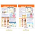 thumbnail image 3 of Conjunto de gráficos en tablón de anuncios NewPath Learning Genetics x4, 3 of 5