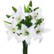 thumbnail image 1 of Xiao Hua Juego de 5 flores de lirio artificiales con un toque realista, ideal para bodas, fiestas, jardines y decoración de oficinas. Flores de lirio artificiales blancas., 1 of 5
