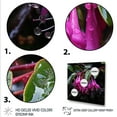 thumbnail image 3 of Designart "Hardy Fuchsia Plants in Purple Garden I" Floral Framed Wall Art - Pink Fuschia Entryway Framed Wall Art, 3 of 6