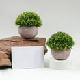 thumbnail image 4 of Artificial Plant Potted Lifelike Round Fake Greenery Plant Faux Plant Decoration, 4 of 10