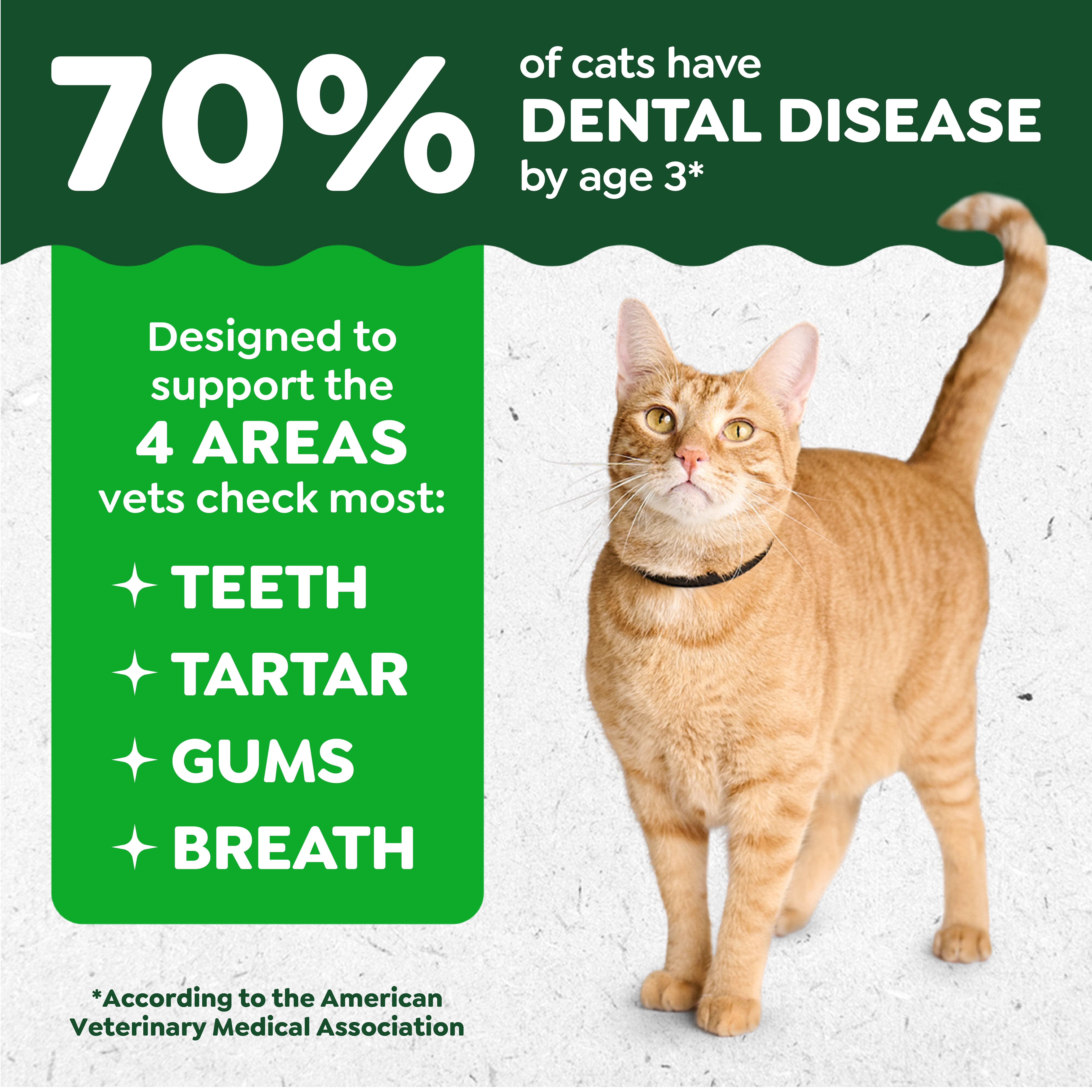 (10 pack) Greenies Feline Savory Salmonflavor Adult Natural Dental Cat Treats, 4.6 Oz Pouch