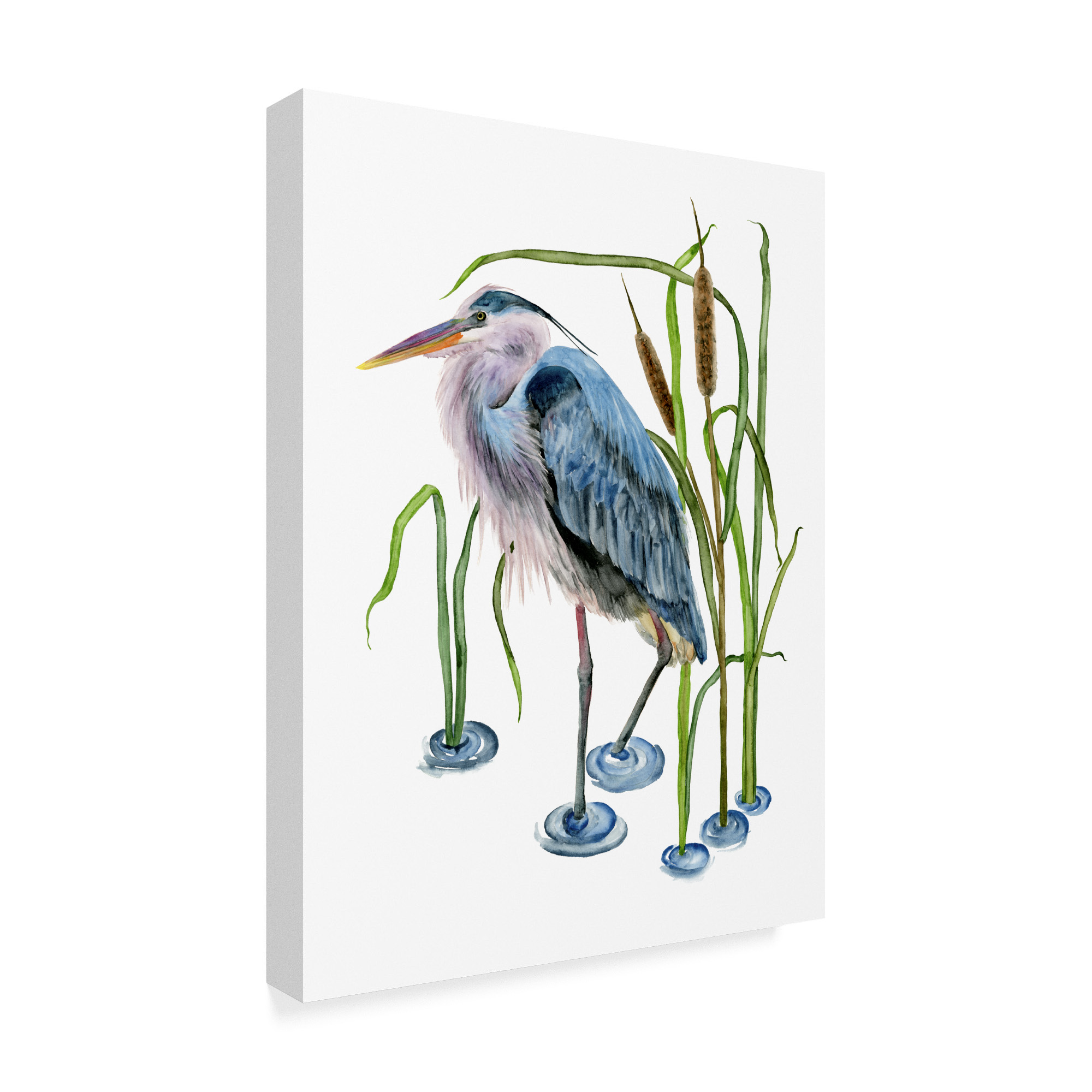 Trademark Fine Art 'At the Pond I' Canvas Art by Melissa Wang