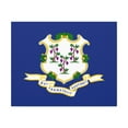 thumbnail image 5 of Connecticut State Flag Canvas Vibrant Wall Art Unframed Home Decor, 5 of 13