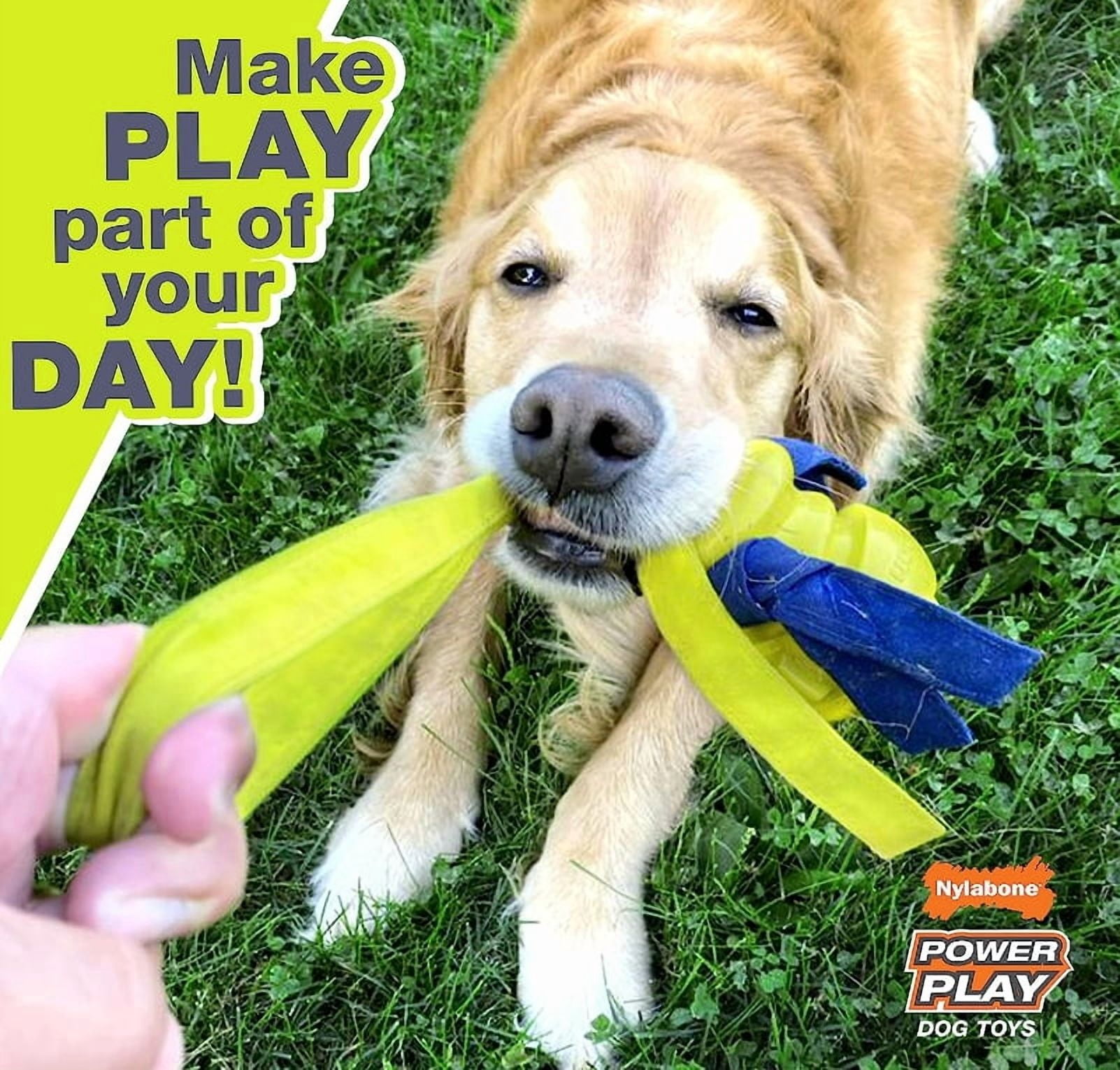 Nylabone Power Play Shake-a-Toss Dog Toy Dog Toy Small [New Dog Supplies, Dog Fetch Toys, Nylabone, Dog Supplies] 1 count