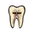 thumbnail image 4 of Realistic Tooth Anatomy Stickers, Waterproof Tooth Anatomy Sticker for Water Bottle Laptop Phone Cases Planner Skateboard Luggage Helmet Party Favor Decor, Ideal for Adults Teens Teacher Rewards, 4 of 9