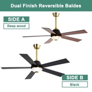 Cusp Barn 52 Modern Indoor Ceiling Fan with LED Lights and Remote Control, DC Motor 6 Speeds, Gold Finish, Reversible Blades