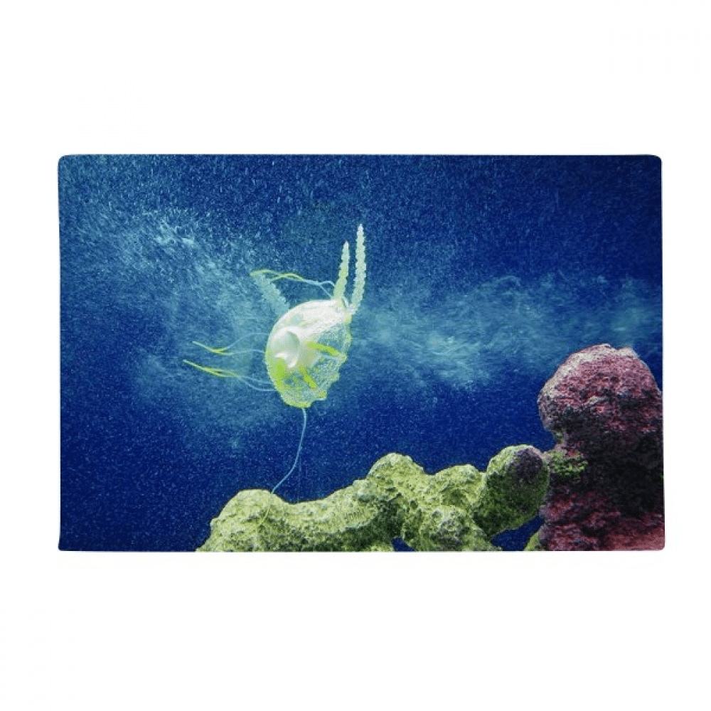 Ocean Jellyfish Science Nature Picture Ground Mat Non Slip Floor ...