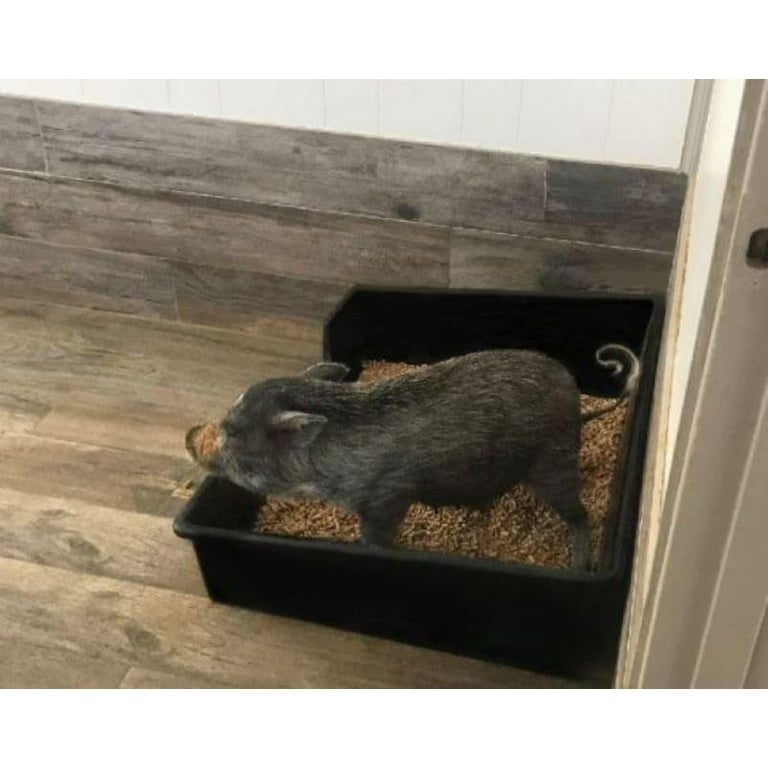 Piggy Poo and Crew Extra Large Heavy Duty Litter Box for Big or Small Animals Walmart