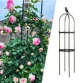 thumbnail image 6 of BToBackyard Plant Trellis Clematis Plants Garden Roses Vine Cherry Tomatoes Splicing Climbing Black White 120Cm Decorative Vines, 6 of 16
