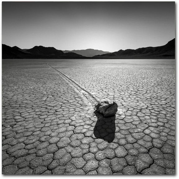 Trademark Fine Art Dave MacVicar 'Sailing Stone' 14 x 14 (ALI0876-C1414GG)