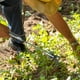 thumbnail image 3 of Ganfancp Herramienta para Escardar Herramienta para Escardar Herramienta para Escardar de Acero Herramienta Manual para Escardar con Mango Herramienta Multifuncional para Escardar Ofertas Del Día 1X, 3 of 3