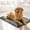 02_Self-heating Pad M, variant on Pet Mat for Winter with Self-Heating Double-Sided Fleece, Portable Foldable & Thickened Warm, Suitable for Dogs Cats, 19.7x15.7in by MPOISVA
