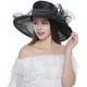 thumbnail image 2 of Negro - Sombrero de organza para mujer, peluca, sombrero de boda, sombrero para el sol, 2 of 5