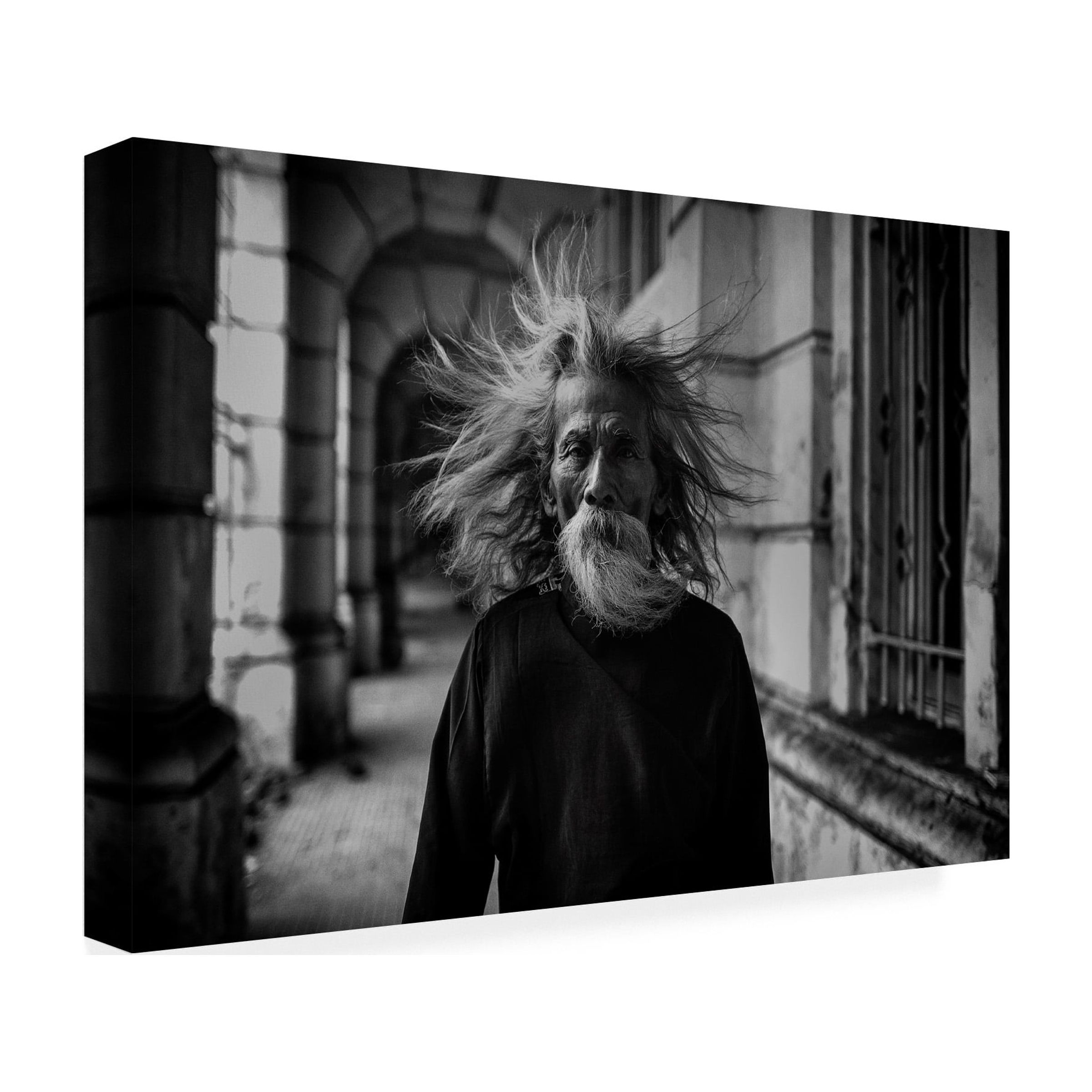 Hardibudi 'That Summer The Wind Blows' Canvas Art