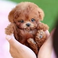 thumbnail image 3 of Bamboohart Milow Robot Puppy  Milow - My Realistic Robot Puppy  Robot Puppy That Acts Like A Real Puppy  Toy Dogs That Walk and Bark  Like A Real Puppy (Teddy), 3 of 8