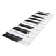 thumbnail image 4 of Alfombra de baño absorbente de 40 x 120 cm para ducha y máquina de baño. Piano, 4 of 8