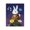 Whimsical Rabbit Guitar Night Bloom, variant on Stupell Industries Eclectic Nighttime Snack Squirrel Canvas Art, 16 x 20, by Gina Matarazzo