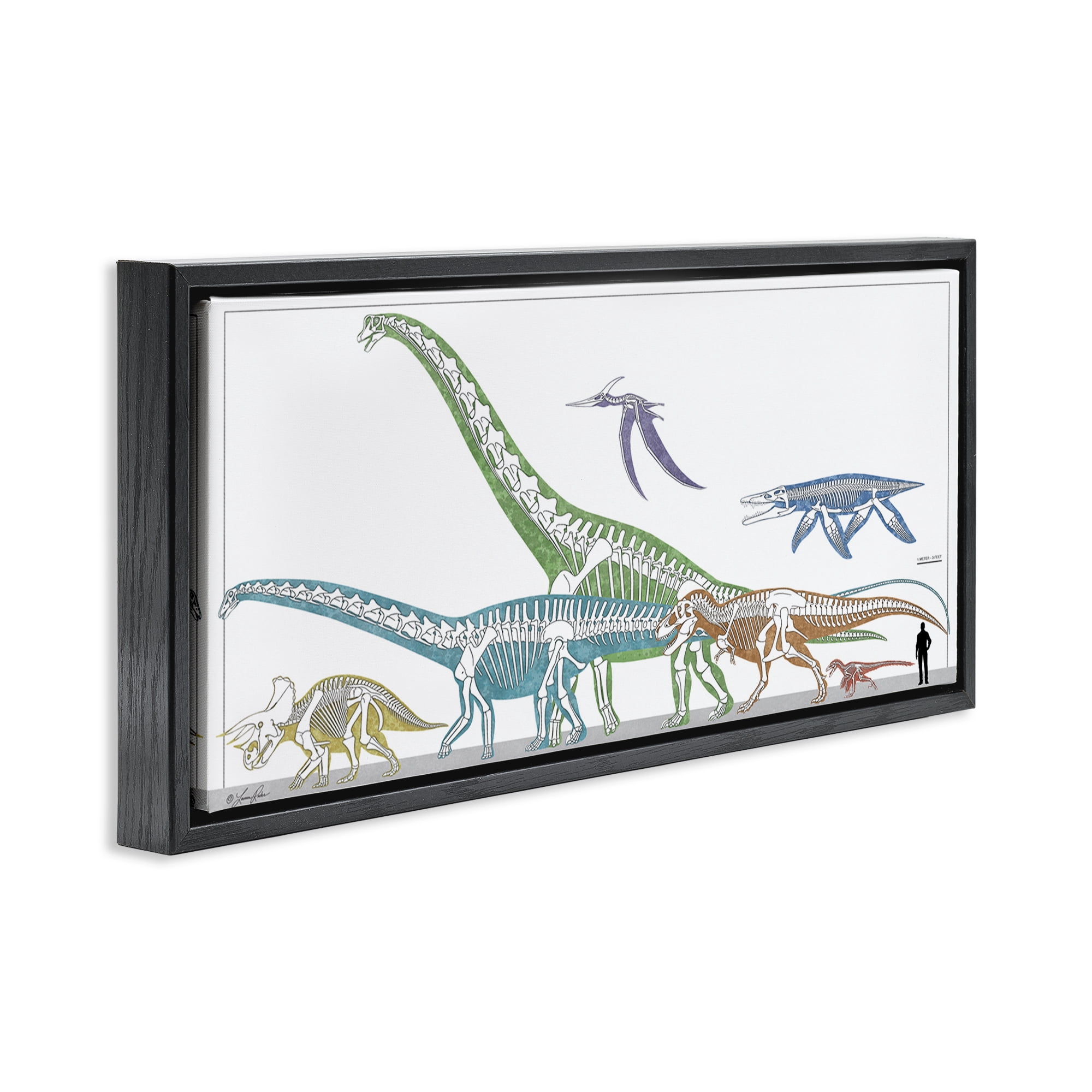 Stupell Industries Educational Prehistoric Skeletons Animals Painting Black Floater Framed Canvas Art Print Wall Art, 25 x 11