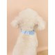thumbnail image 4 of 1pc Blue Waterproof Pvc Dog Collar With Anti-slip And Durable Function For Small, Medium And Large Size Dogs, Suitable For Outdoor Activities, 4 of 5