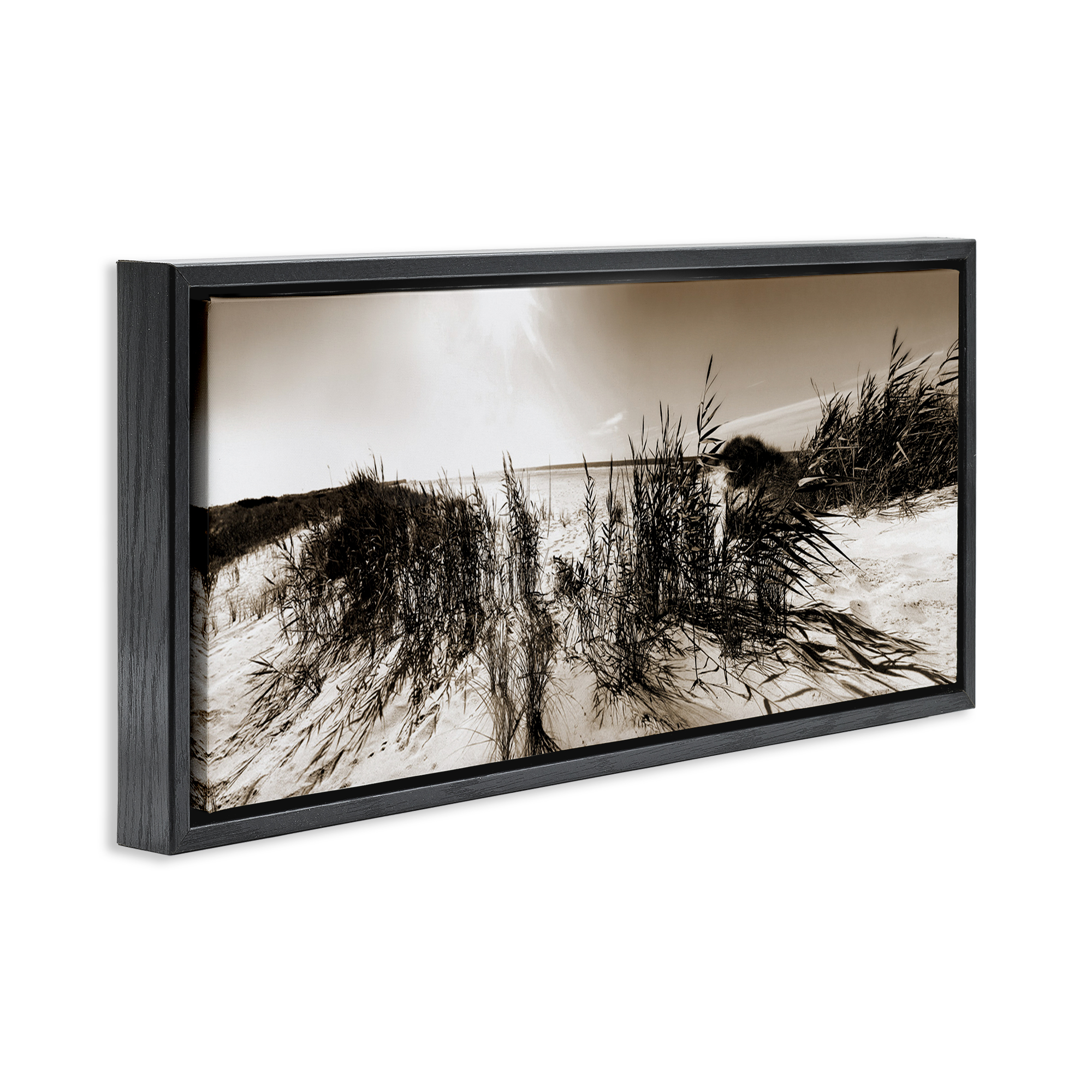 Stupell Industries Wind In The Dunes Coastal Photography Black Floater Framed Canvas Art Print Wall Art, 31 x 14