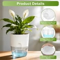 thumbnail image 5 of IWNTWY 5.7" Self Watering Pots, 4 Pack Plastic Planters with Deep Reservoir and Wicking Rope for Indoor Outdoor Garden Plants and Flowers, White, 5 of 10