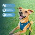 thumbnail image 4 of Voyager Step-In Air All Weather Mesh Harness & Reflective Dog Leash Combo w/ Neoprene Handle 5ft , For Small to Large Breed Dogs Cute & Heavy Duty, Best Pet Supplies- Turquoise Turquoise Trim, XS, 4 of 10