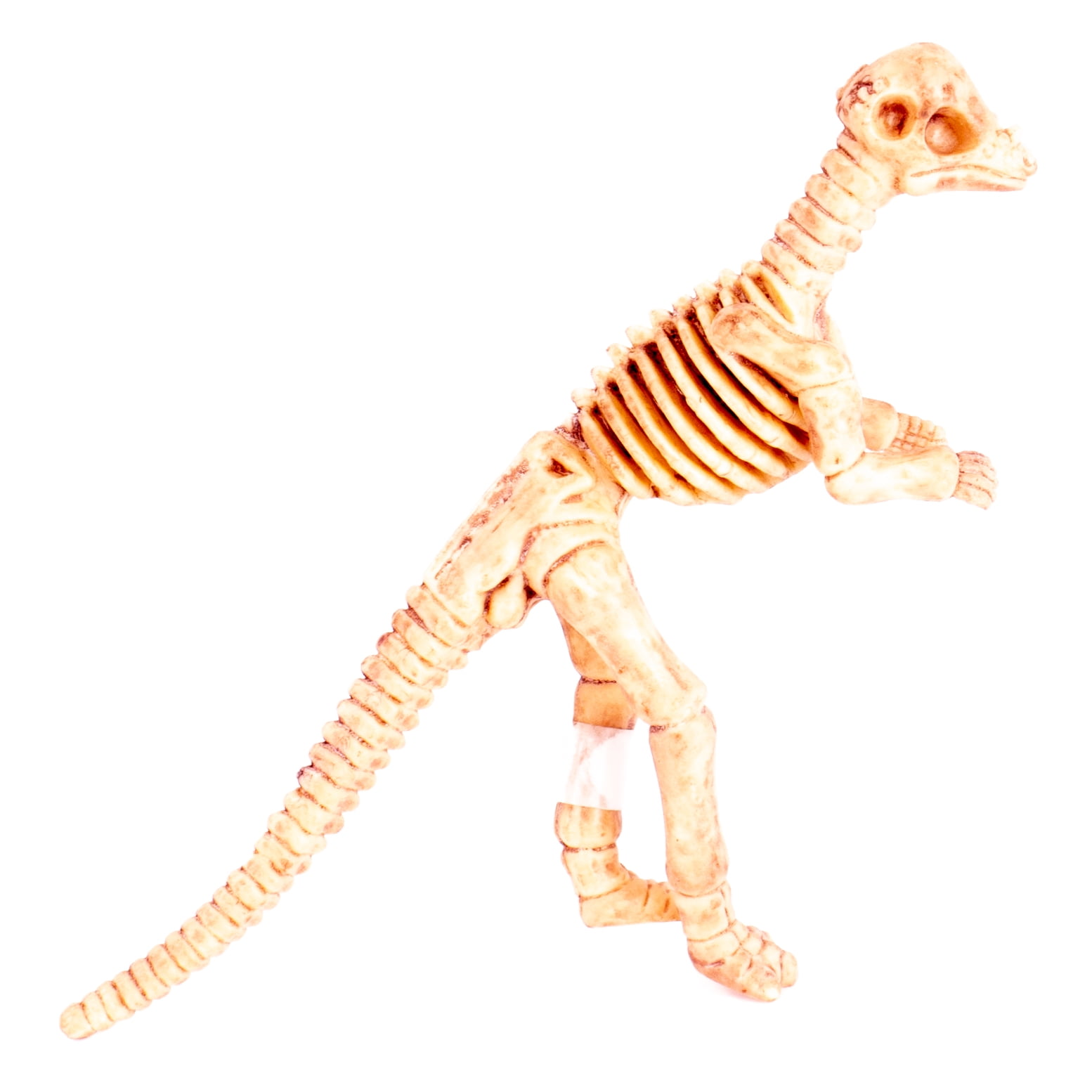 Pachycephalosaurus Head Butting Jurassic Skeleton 6 Dinosaur Toy Figure Beige Walmart Com