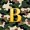 Olive Green B, variant on Feelyou Camouflage Letter E Twin Quilt Set for Boys, Rustic Camo Cabin Twin Coverlet Set, Green Gold, 2pcs