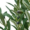 thumbnail image 4 of Elements Artificial Olive Branch Arrangement in Clear Glass Vase, Realistic Look and Feel, 4 of 7