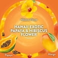 thumbnail image 4 of Air Wick Plug-In Scented Oil Air Freshener Warmer Refills Multipack, Lavender, Fresh Linen, Hawaii, and Vanilla and Pink Papaya, 4 Count, 4 of 6