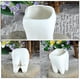 thumbnail image 4 of Maceta de cerámica decorativa con forma de diente, maceta para plantas de interior y exterior, maceta para cactus, 4 of 8