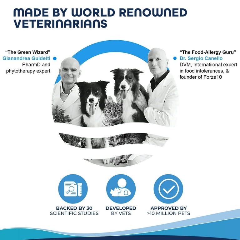 FORZA10 ACTIVE DERMO ドライフード 4kg Forza10 Nutraceutic ActiWet Dermo Fish Recipe Wet Dog Food