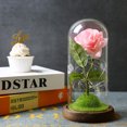 thumbnail image 3 of Labymos Artificial Rose Flower with LED Lights Glass Dome on Wood Base Forever Artificial Forever, 3 of 8