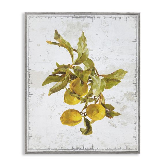 Stupell Industries Farmhouse Natural Lemon Branch Gray Framed Giclee Art, 24 x 30, by Graffitee Studios