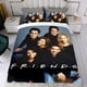 thumbnail image 4 of Amigos TV Conjunto de sábanas temático, trío de piezas, cómodo y amigable con la piel, diseño único, regalo de decoración para el hogar para familiares, amigos y fans,140cm *210cm, 4 of 6