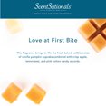thumbnail image 4 of Scentsationals 2.5 oz Scented Wax Melts (1-Pack), Love at First Bite, 4 of 7