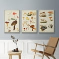 thumbnail image 5 of Mushroom Species X - Framed Premium Gallery Wrapped Canvas L Frame 3 Piece Set - Ready to Hang, 5 of 9