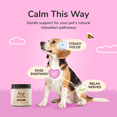 thumbnail image 2 of kin+kind Daily Calm Supplement for Dogs & Cats (Medium) - 4oz, 2 of 9