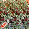 thumbnail image 2 of 8/2M Artificial Acebo Hoja Vid Bayas Rojas Flor de Pascua Navidad Ratán Interior Fiesta Árbol de Navidad Corona Decoración, 2 of 5