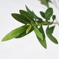 thumbnail image 2 of Árbol Artificial de Olivo, Planta Sintética para Decoración de Interiores (153 CM), 2 of 4