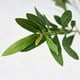 thumbnail image 2 of Árbol Artificial de Olivo, Planta Sintética para Decoración de Interiores (153 CM), 2 of 4