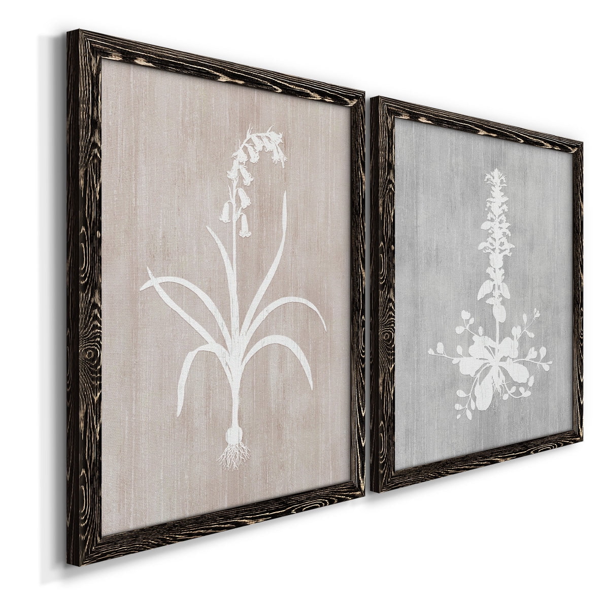 Botany Beauty I - Premium Framed Canvas 2 Piece Set - Ready to Hang