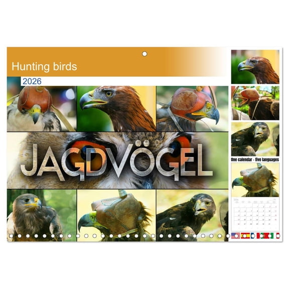 Hunting birds (Monthly Wall Calendar 2026 16.5 x 23.4 (open)), CALVENDO 14 Month Calendar