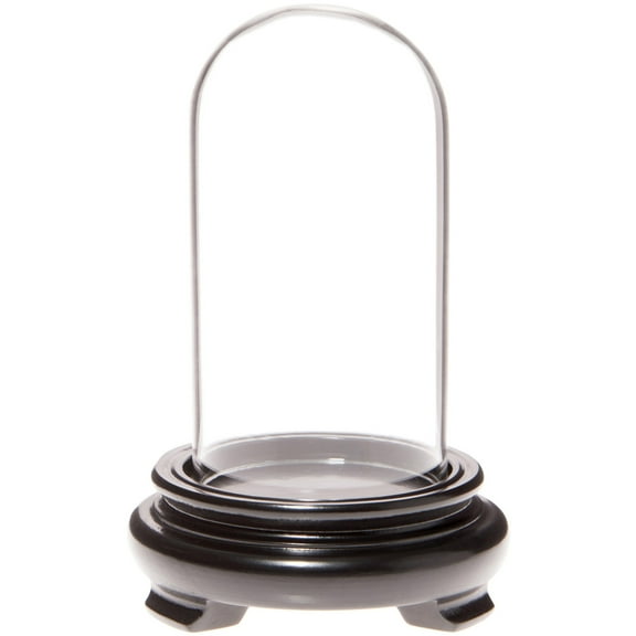 Plymor 2" x 4" Mini Glass Display Dome Cloche (Black Wood Veneer Footed Base)
