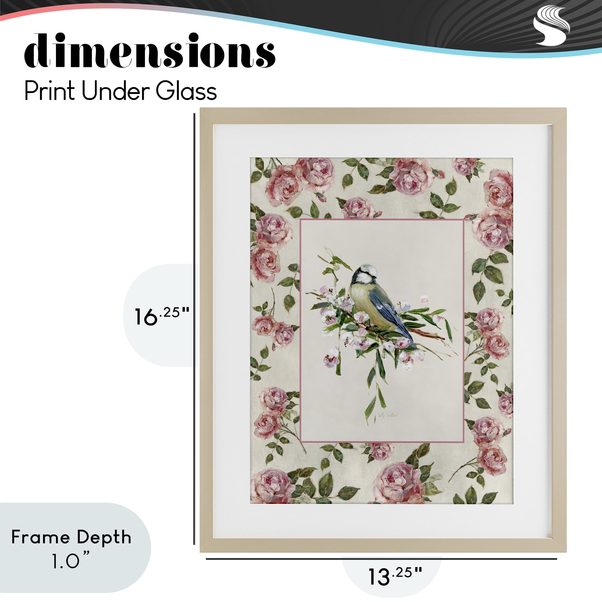 Stupell Industries Dainty Roses & Perched Bird Birch Framed Print Under Glass, design by Sally Swatland
