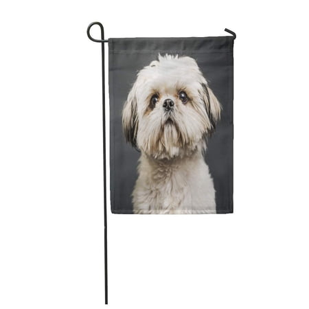 SIDONKU Puppy Shih Tzu in Studio Dark Beautiful Canine Garden Flag Decorative Flag House Banner 28x40 inch