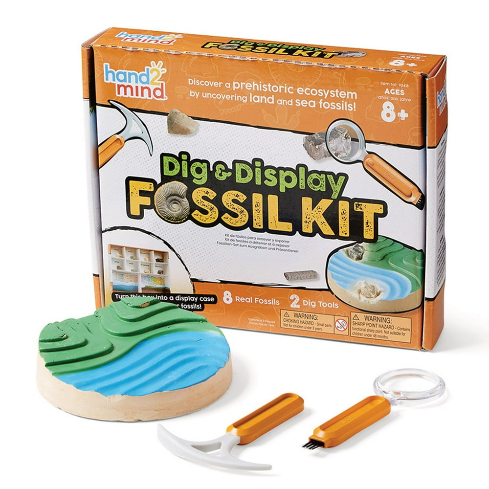 fossil finding kit