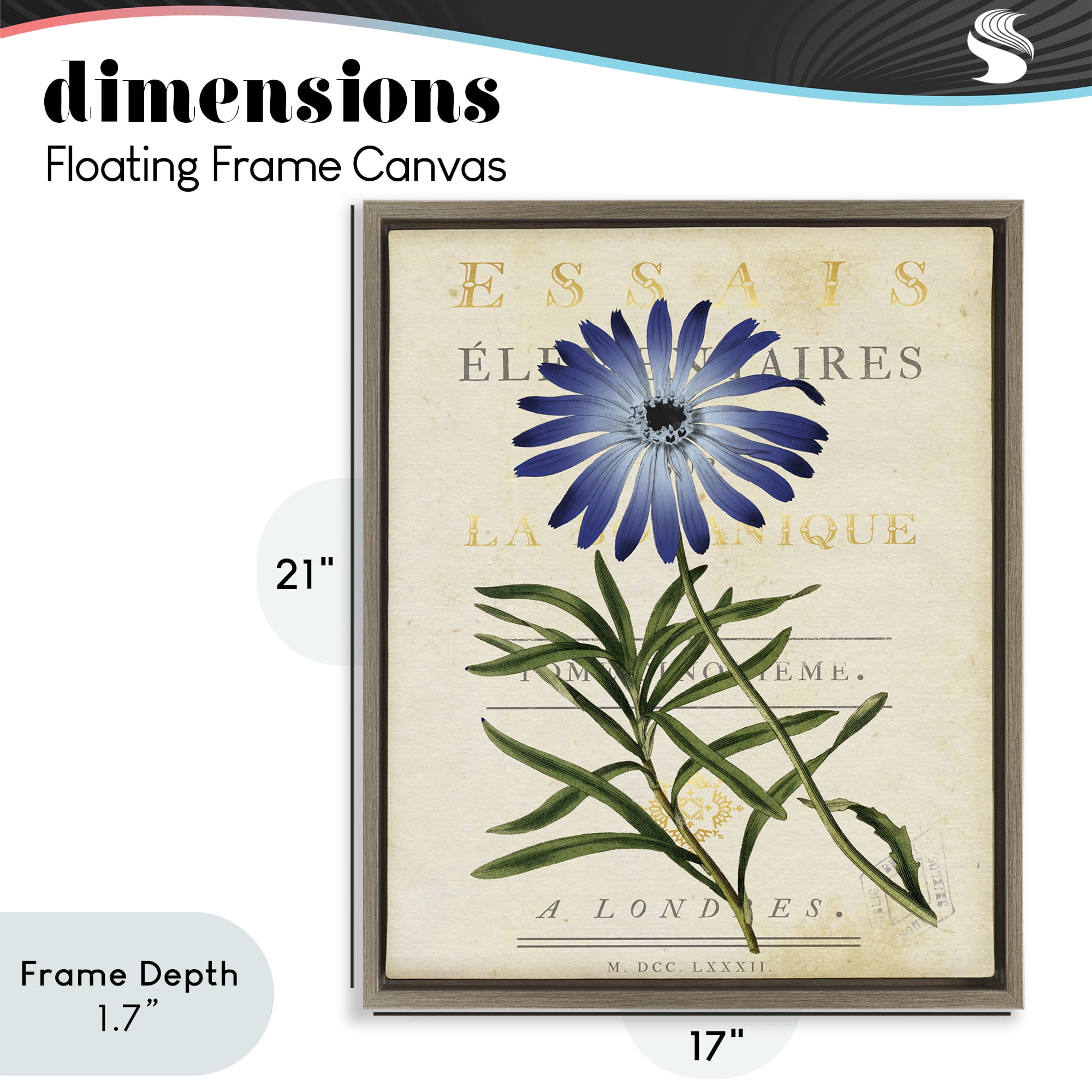 Stupell Industries Natural Botany Daisy Brown Framed Floater Canvas Wall Art, design by Susan Arnot